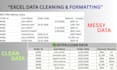 do expert data cleaning