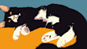 draw your pet or animal