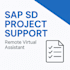 help sap teams with project tasks