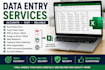 do accurate data entry and excel data entry