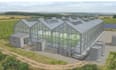 do 3d greenhouse design ,layout modelling with 3d rendering