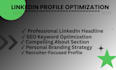 professionally optimize your linkedin profile