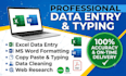 professional data entry, typing, ms word, excel and copy paste
