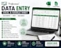 provide accurate data entry, excel and background verification services
