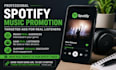 professional spotify music promotion