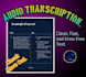 professional audio to text transcription