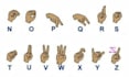 teach you sign language