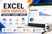 excel data entry, data cleaning and formatting