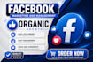 do organic facebook page promotion