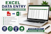 excel data entry and convert pdf to excel accurately