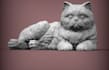 do 3d model bust model 3d facial model for 3d printing