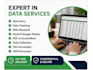 complete fast excel data entry, data cleaning, and PDF to word conversion