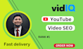 provide extreme youtube video SEO service