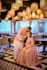 professionally edit your wedding photo in adobe lightroom