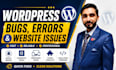 fix wordpress bugs, errors and website issues
