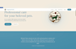 design and develop a professional wordpress website and blog