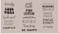 design custom hand lettering and typography logo