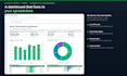fast, accurate interactive dashboards in google sheets or excel