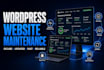 do wordpress maintenance speed optimization and fix core web vitals