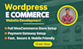 create a professional wordpress e commerce website