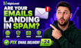 setup gohighlevel dns spf dkim dmarc to fix email delivery in 24 hours