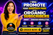 promote your substack page with organic subscribers, boost substack newsletter