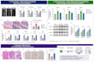 create publication ready scientific figures and graphs