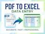 convert PDF to excel and do data entry