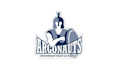 design amazing high school mascot logo