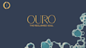 design your logo and brand identity guidelines from evocative whimsy experiences