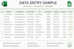do accurate data entry in ecxel and google sheets