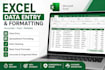 excel data entry formatting formulas and spreadsheet work