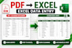 do data entry and convert PDF to excel accurately