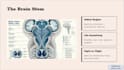 design professional powerpoint presentations and pitch decks