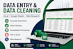 do data entry data cleaning and excel spreadsheet tasks