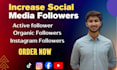 increase social media followers