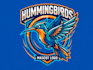 create amazing hamming bird mascot logo design