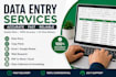 do accurate data entry, copy pest and web research