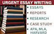 do urgent essay writing as an essay writer expert