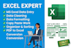 do expert ms excel data entry data cleaning and formatting