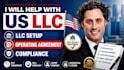 help with US llc setup, operating agreement and compliance