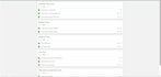 test your website and report bugs with a detailed report