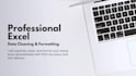do professional excel data cleaning