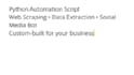 build a custom automation script with python