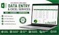 do accurate data entry and excel spreadsheet work