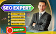 do technical and on page SEO, website audit for google indexing search console