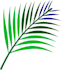design abstract tropical leaf  modern botanical vector art