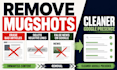 remove mugshots, erase bad articles, delete negative links, false news on google