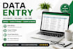 do data entry and simple exel tasks