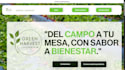 desing a profesional wix website whith whatsapp button